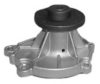 NISSA 21010P7528 Water Pump